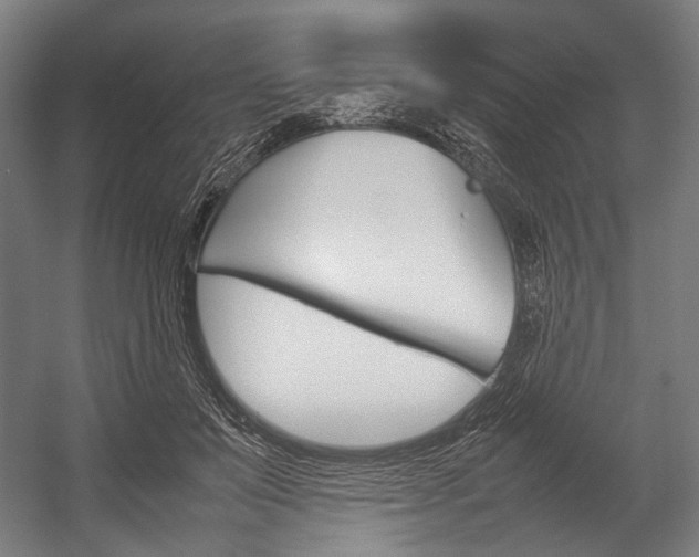 X0000054430503200507290955