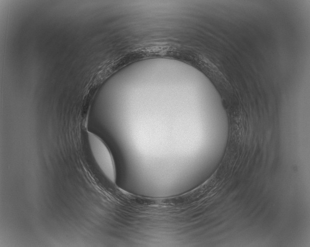 X0000054430504200507290955