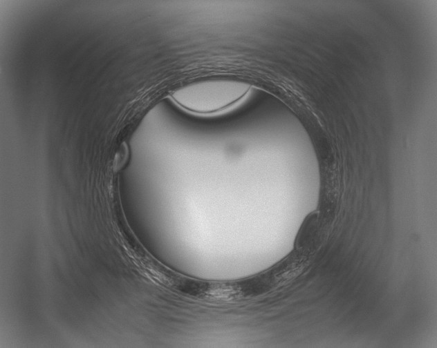 X0000054430505200507290955