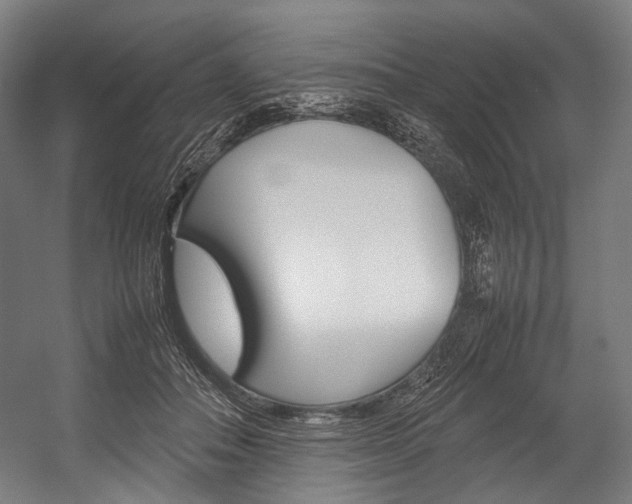 X0000054430506200507290955