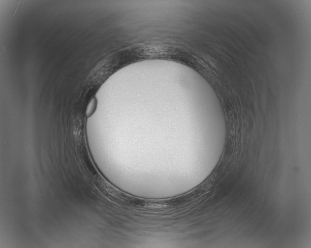 X0000054430507200507290955