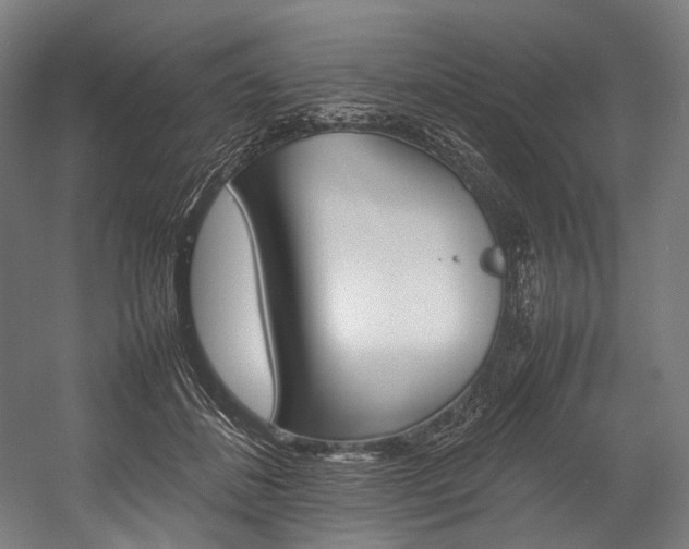 X0000054430508200507290955