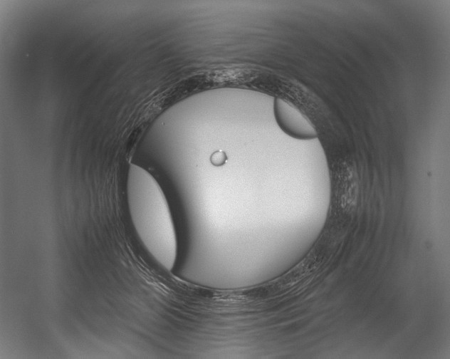 X0000054430510200507290955