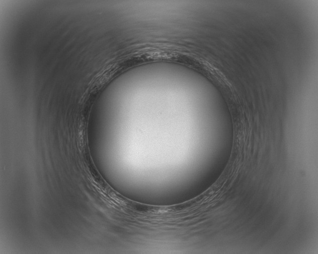 X0000054430513200507290955