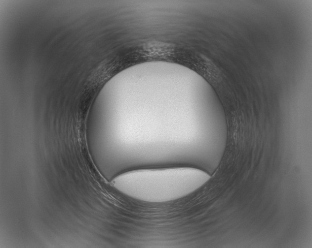X0000054430514200507290955
