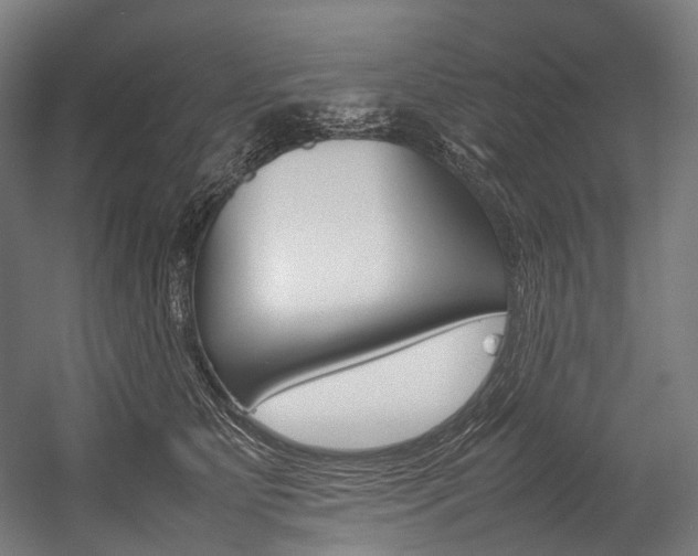 X0000054430515200507290955