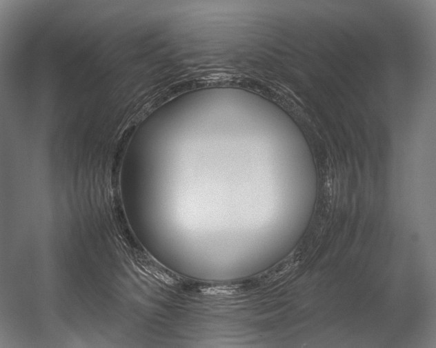 X0000054430516200507290955