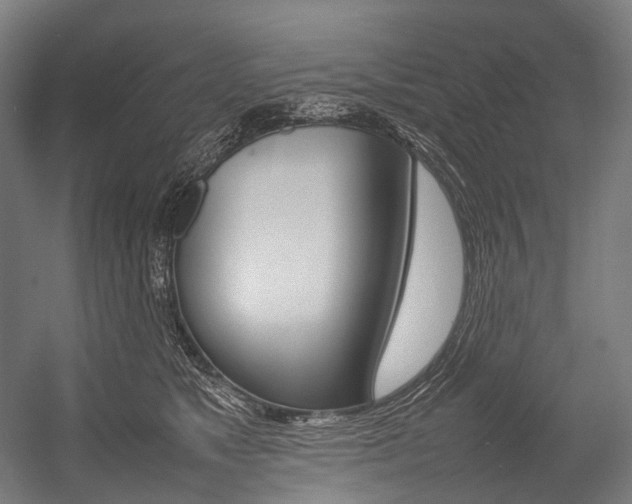 X0000054430517200507290955