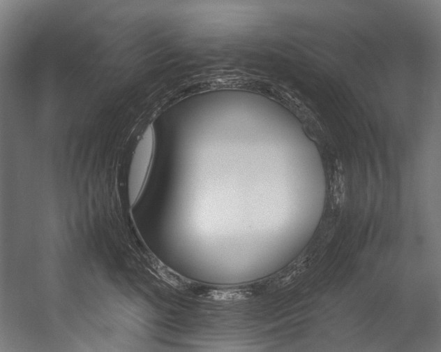 X0000054430520200507290955