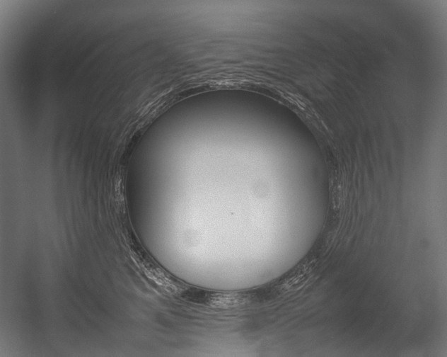 X0000054430521200507290955