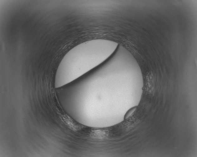 X0000054430522200507290955