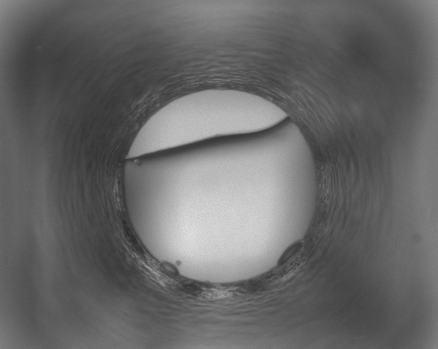 X0000054430523200507290955