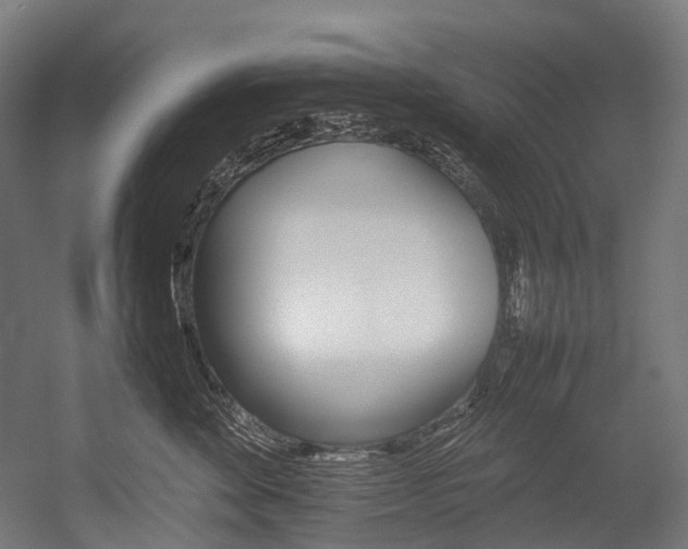X0000054430524200507290955
