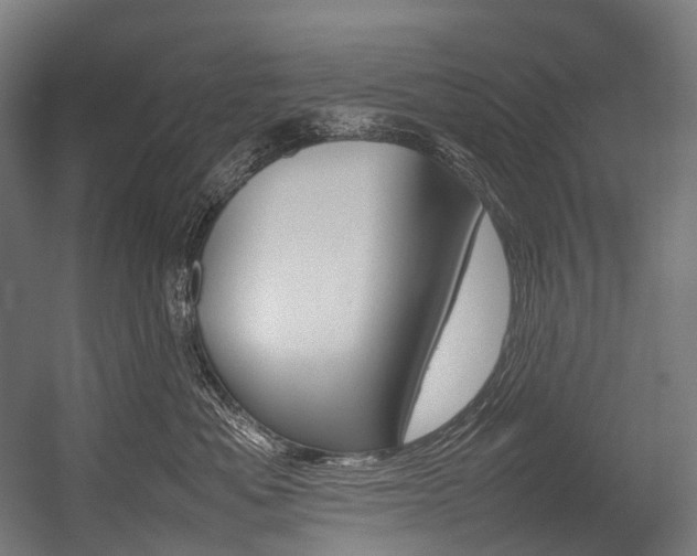 X0000054430525200507290955