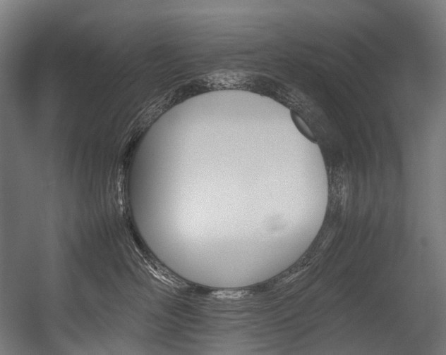 X0000054430526200507290955