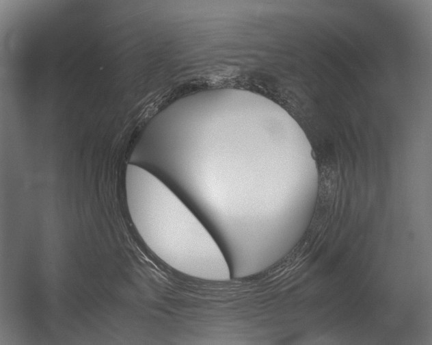 X0000054430527200507290955