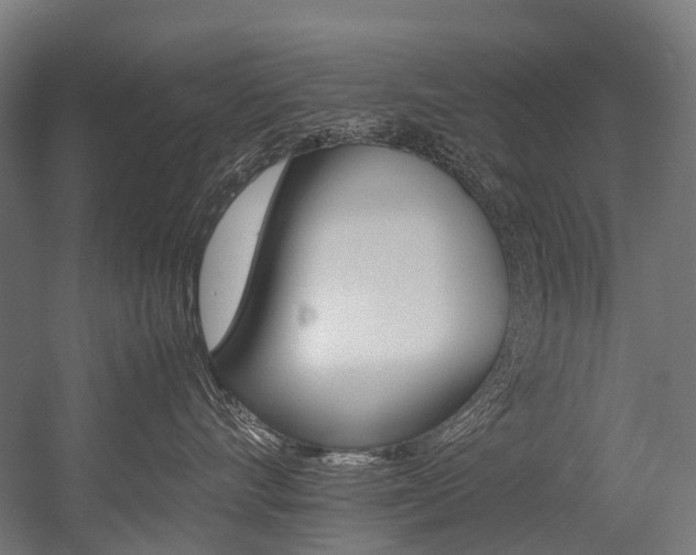 X0000054430528200507290955