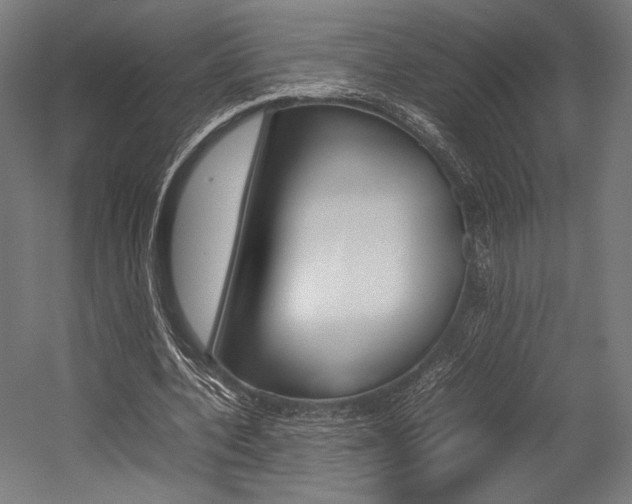 X0000054430532200507290954