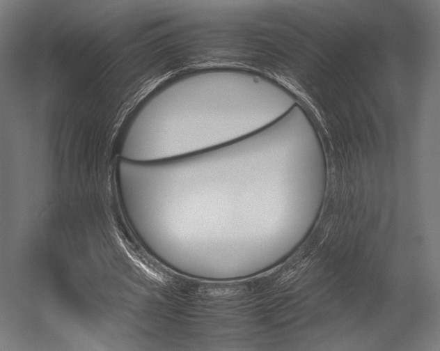 X0000054430533200507290954