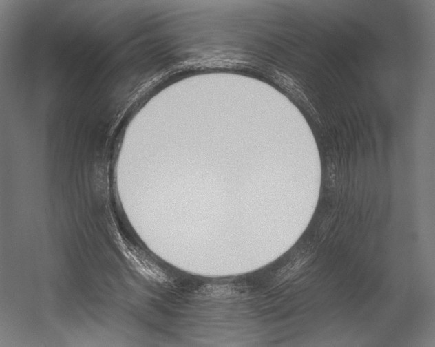 X0000054430534200507290954