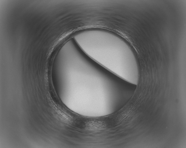X0000054430535200507290954