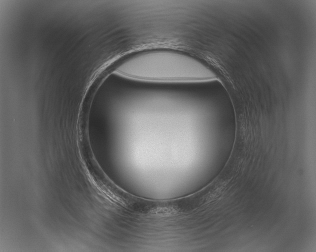 X0000054430536200507290954