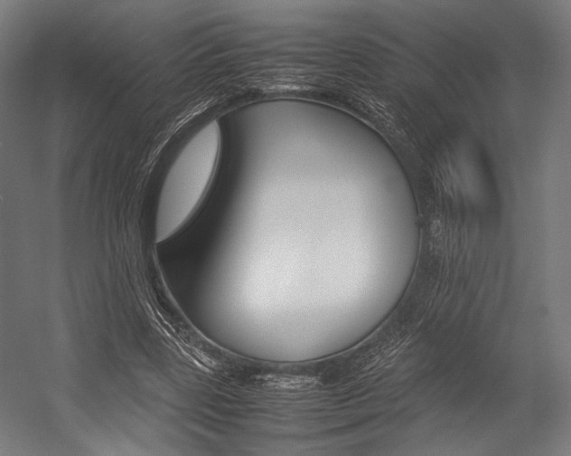 X0000054430539200507290954