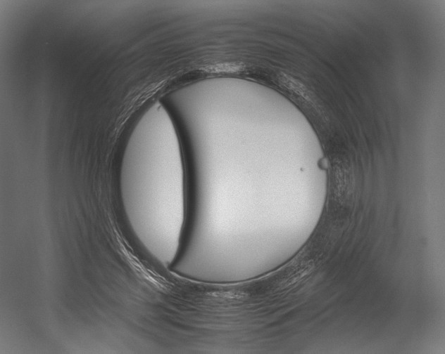 X0000054430541200507290954