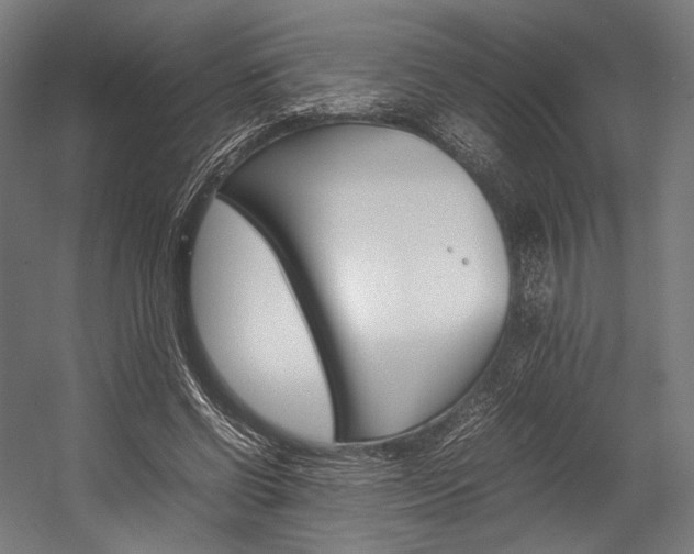 X0000054430542200507290954
