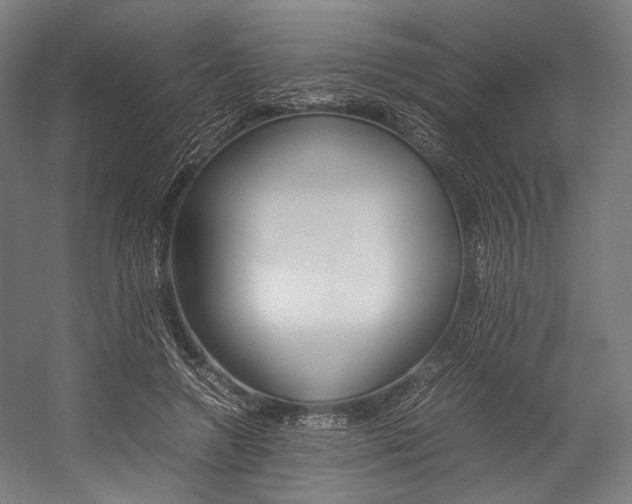 X0000054430546200507290954