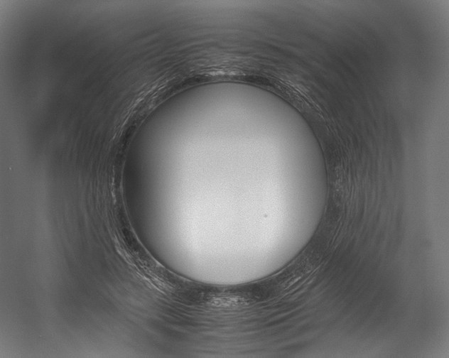 X0000054430547200507290954