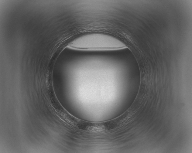 X0000054430548200507290954