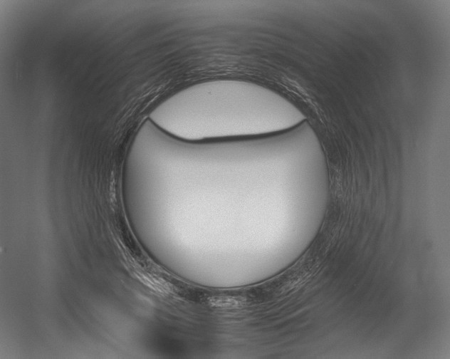 X0000054430549200507290954