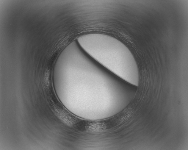 X0000054430550200507290955