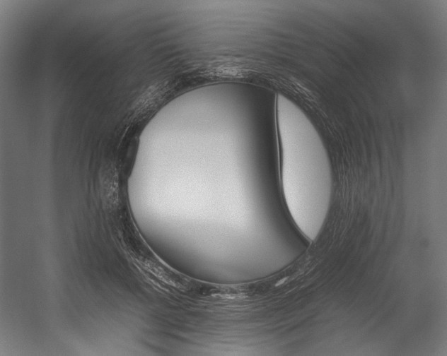 X0000054430552200507290955