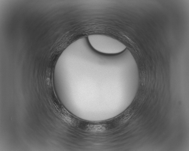 X0000054430553200507290955
