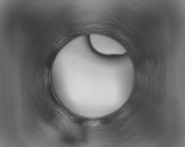 X0000054430554200507290955