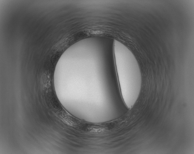 X0000054430555200507290955