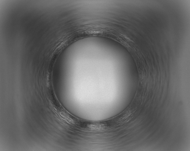X0000054430556200507290955