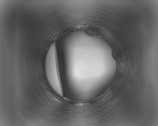 X0000054430558200507290955