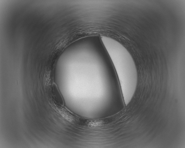 X0000054430560200507290955
