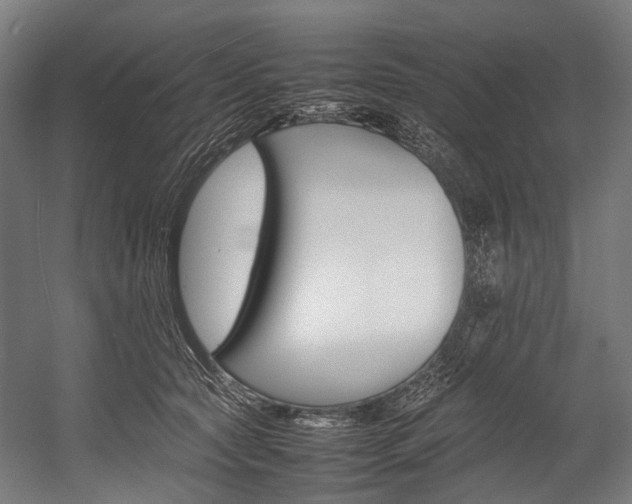 X0000054430561200507290955