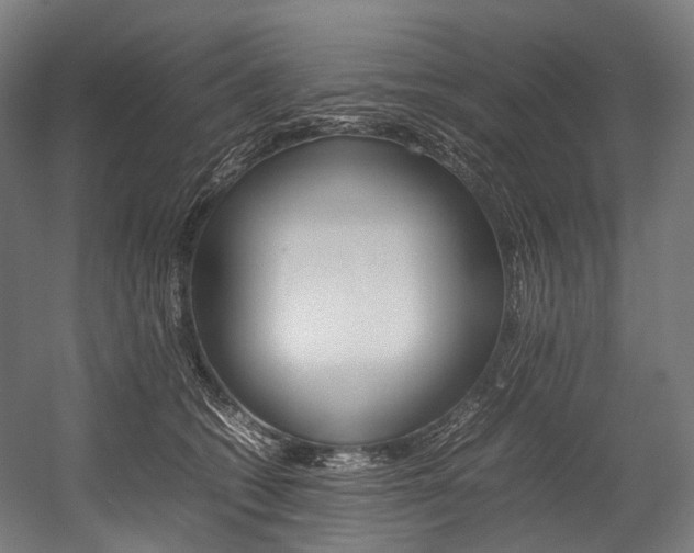 X0000054430562200507290955