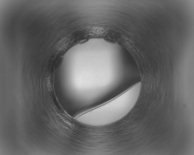 X0000054430564200507290955