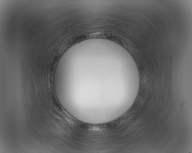 X0000054430565200507290955