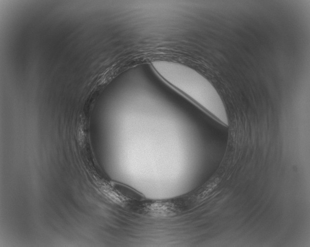 X0000054430566200507290955
