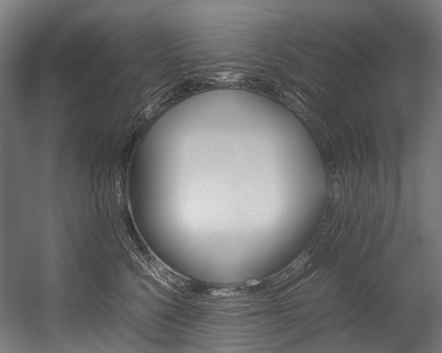 X0000054430568200507290955