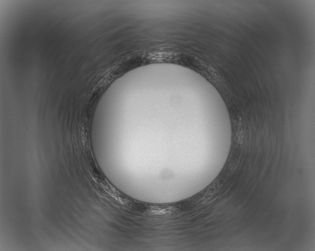 X0000054430569200507290955
