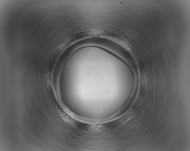 X0000054430570200507290955