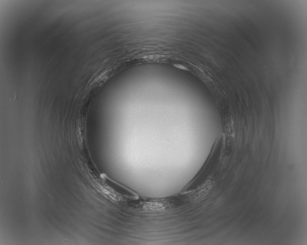 X0000054430572200507290955